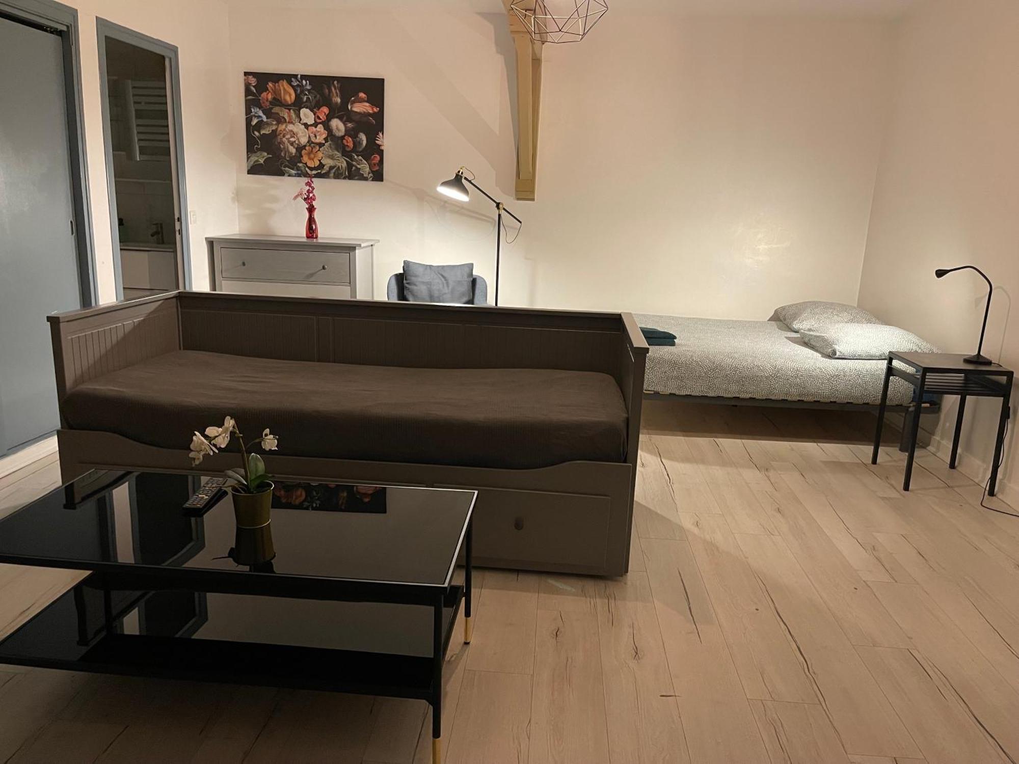 015 Chic & Cosy Studio 41M2 Hypercentre Wifi Smart Tv Netflix Сент Етиен Екстериор снимка